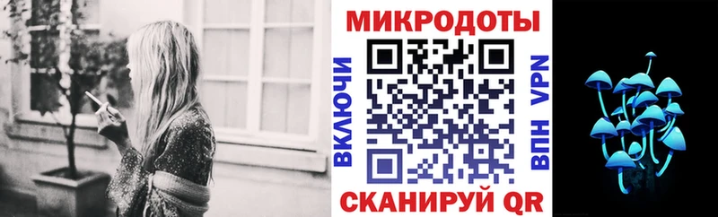 Псилоцибиновые грибы Psilocybe Баксан